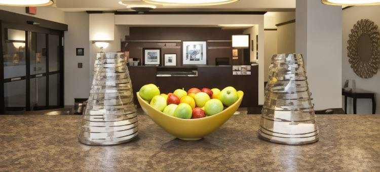 欢朋酒店-布法罗南/I-90(Hampton Inn Buffalo-South/I-90)图片