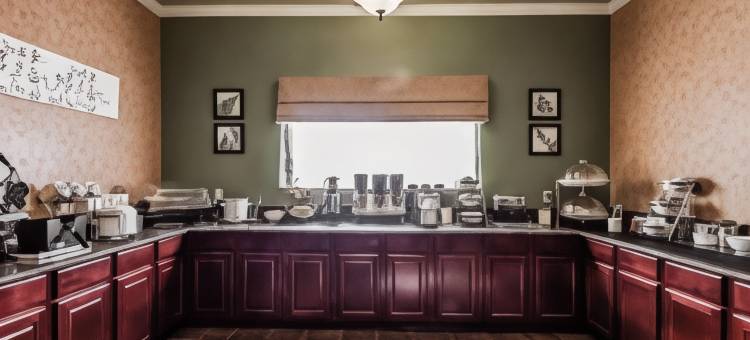 舒眠酒店及套房香柏(Sleep Inn & Suites)图片