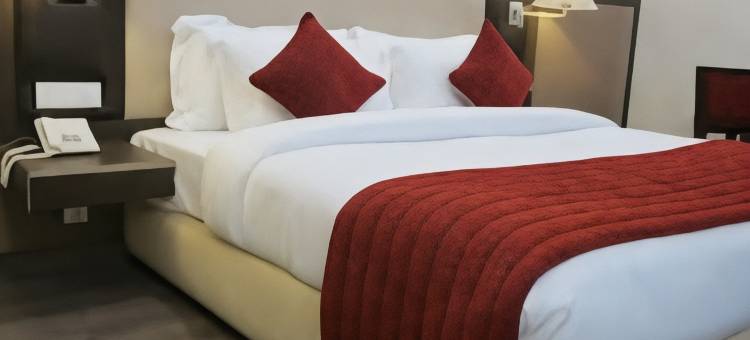 萨菲尔酒店(Hotel Sapphire)图片