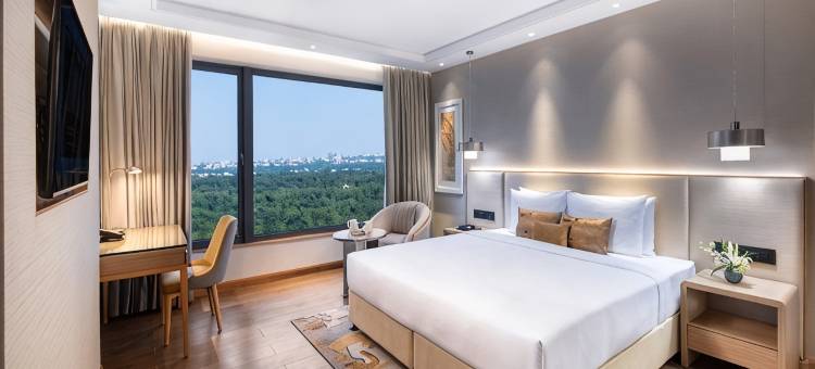 Vivanta布巴内斯瓦尔DN广场(Vivanta Bhubaneswar DN Square)图片
