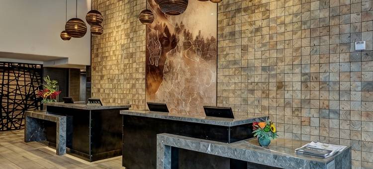 埃弗里特万豪西雅图德尔塔酒店(Delta Hotels Seattle Everett)图片