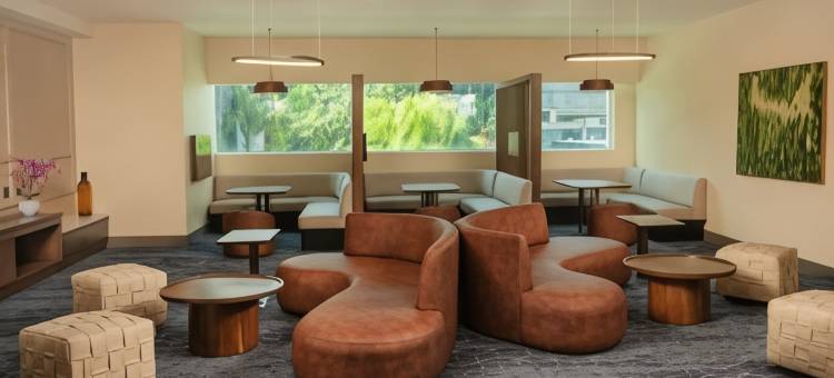 瓜达拉哈拉安达雷斯万怡酒店(Courtyard by Marriott Guadalajara Andares)图片