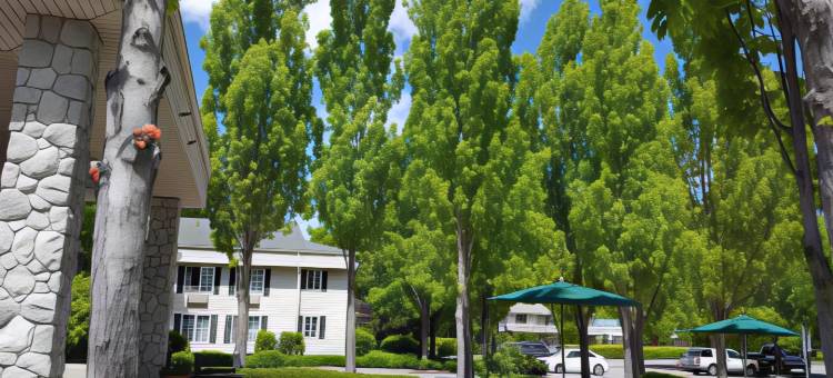 科达伦呗盟套房酒店(Baymont by Wyndham Coeur d'Alene)图片