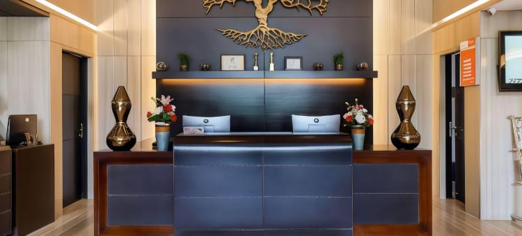 古尔冈29区丽怡酒店及套房(Radisson Hotel Sector 29 Gurugram)图片