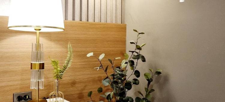 Raviens Elbon The Stay图片