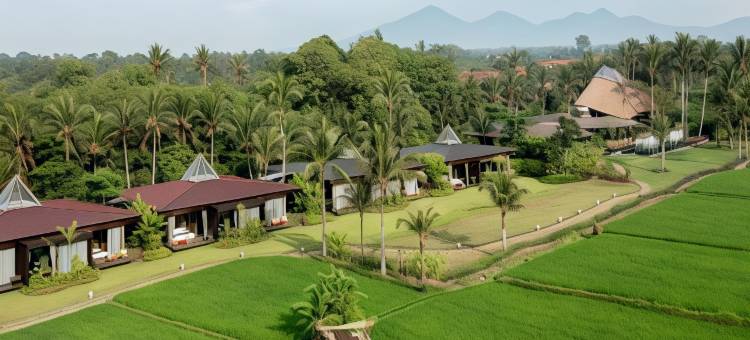 巴厘岛格达斯健康养生度假村(Gdas Bali Health and Wellness Resort)图片