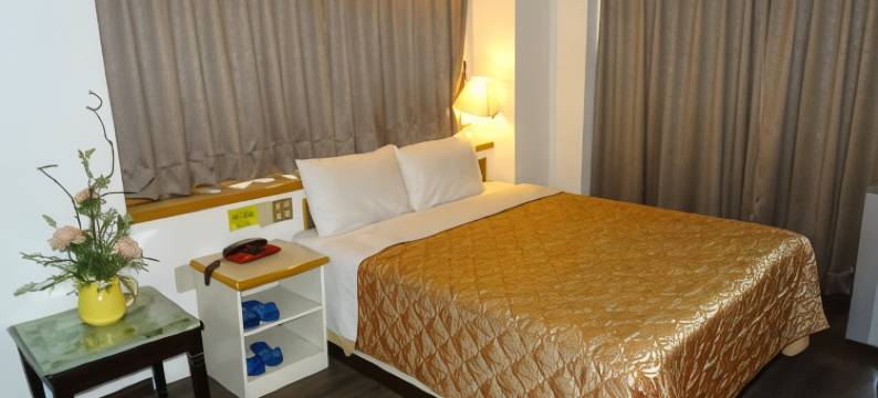 嘉新大饭店图片