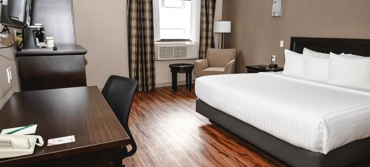 品质酒店及会议中心(Quality Hotel & Conference Centre)图片