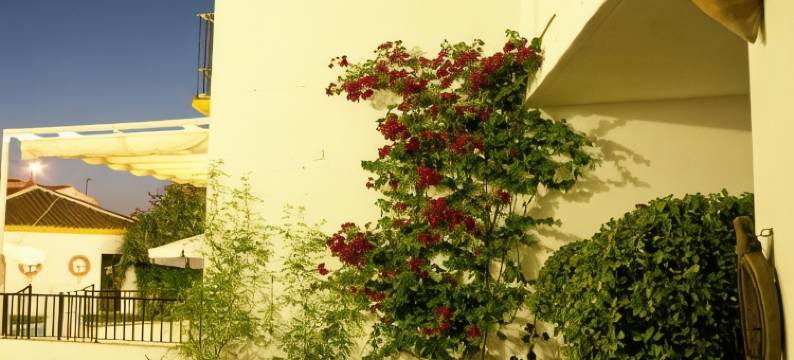 奥隆提吉庄园酒店(Hacienda Olontigi)图片