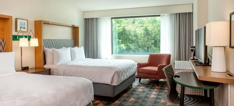 纽波特纽斯-汉普顿假日酒店(Holiday Inn NEWPORT NEWS - HAMPTON by IHG)图片