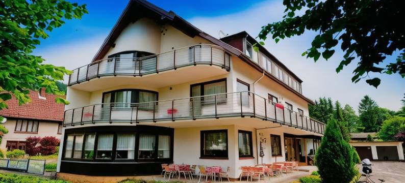 哈茨酒店艾瑞斯(Harz Hotel Iris)图片