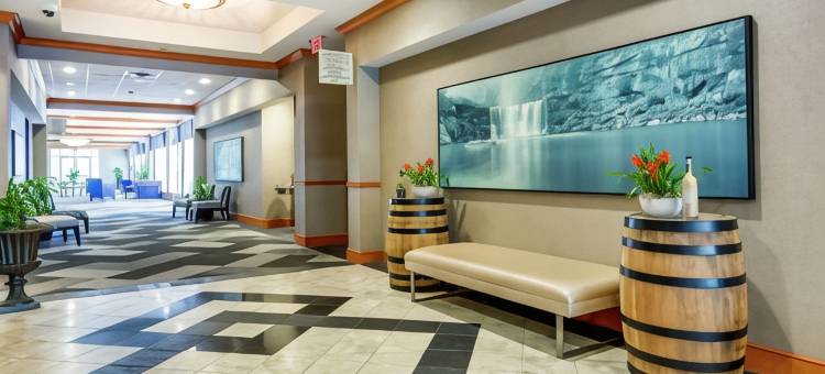 路易斯威尔机场希尔顿花园酒店(Hilton Garden Inn Louisville Airport)图片