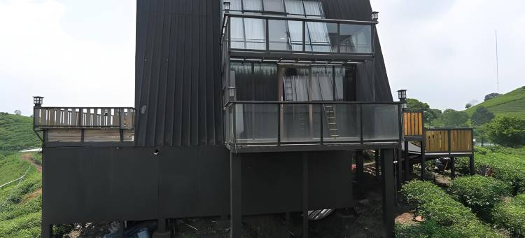 尼莫茶园度假村(Nimo Tea Resort)图片