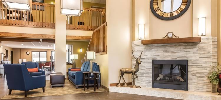 埃芬汉舒适套房酒店(Comfort Suites Effingham)图片