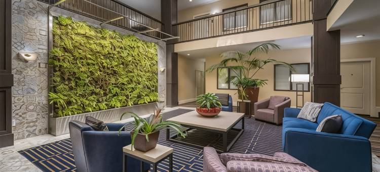 棕榈阁贝斯特韦斯特优质酒店(Best Western Plus Palm Court Hotel)图片