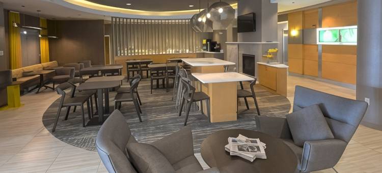 奥尔巴尼-科勒尼 SpringHill Suites 酒店(SpringHill Suites Albany-Colonie)图片