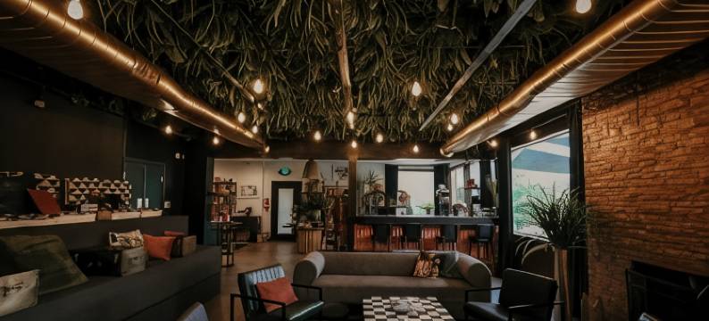 梦想家圆顶屋(DayDreamer Domes)图片