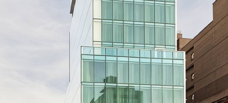 唐人街温德姆花园酒店(Wyndham Garden Chinatown)图片