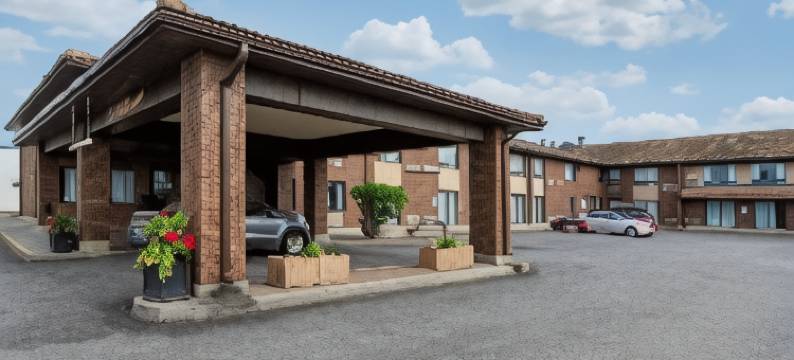 舒适酒店(Comfort Inn)图片