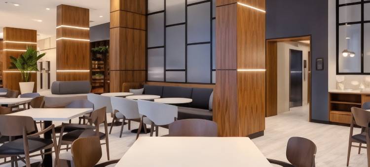 蒙特利尔中心希尔顿欢朋酒店(Hampton Inn by Hilton Montreal Downtown)图片