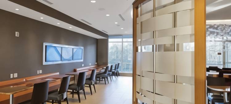 贝灵厄姆万豪SpringHill酒店(SpringHill Suites Bellingham)图片