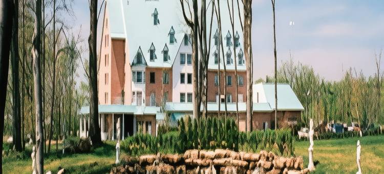 沃德勒伊酒庄酒店(Chateau Vaudreuil)图片