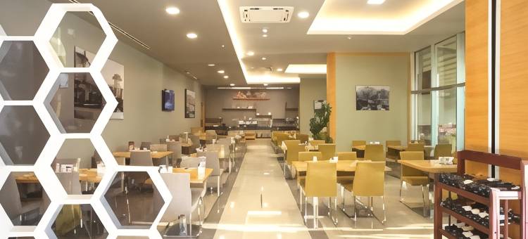 马尼萨西智选假日酒店(Holiday Inn Express Manisa - West)图片