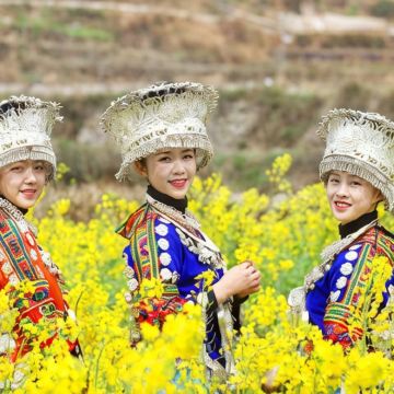 贵州贵阳+黄果树+荔波+西江千户苗寨+梵净山+茅台镇7日6晚私家团