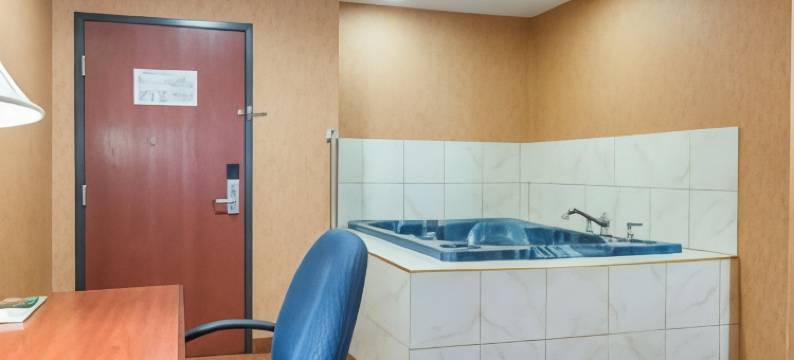 凯艺套房酒店(Quality Inn & Suites)图片