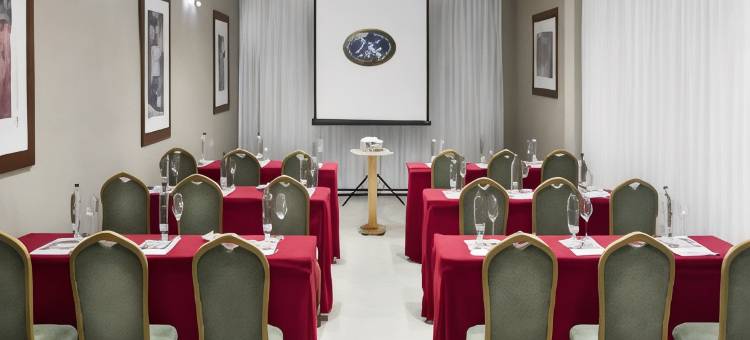 厄尔巴维辛达里奥机场商务及会议酒店(Elba Vecindario Aeropuerto Business & Convention Hotel)图片