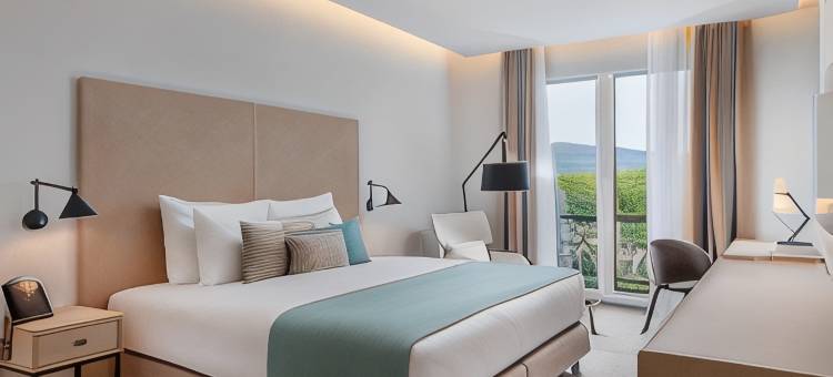拉苏雷酒店及码头(Lazure Hotel & Marina)图片