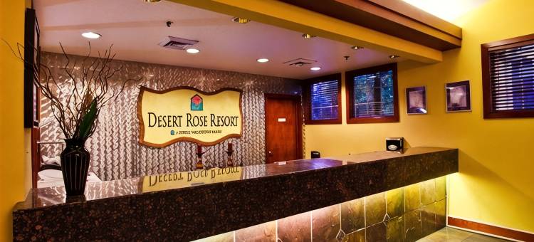沙漠玫瑰度假酒店(Desert Rose Resort)图片