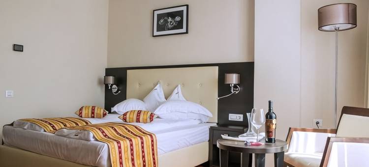 萨利斯医疗水疗酒店(Salis Hotel & Medical Spa)图片