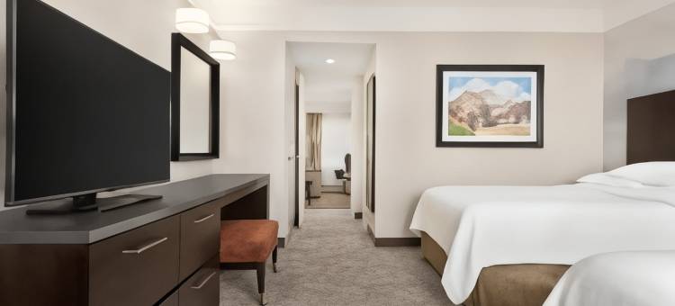 芝加哥北岸迪尔菲尔德希尔顿安泊套房酒店(Embassy Suites by Hilton Chicago North Shore Deerfield)图片