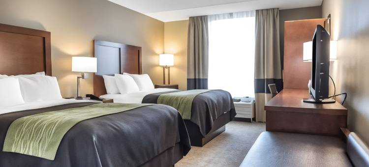 皮夸舒适套房酒店-近特洛伊-I75(Comfort Inn & Suites Piqua-Near Troy-I75)图片