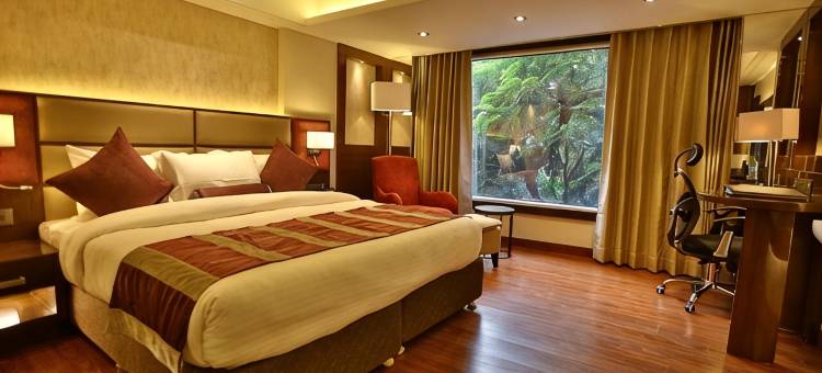 坎普尔水晶雷珍塔中央酒店(Regenta Central the Crystal Kanpur,)图片
