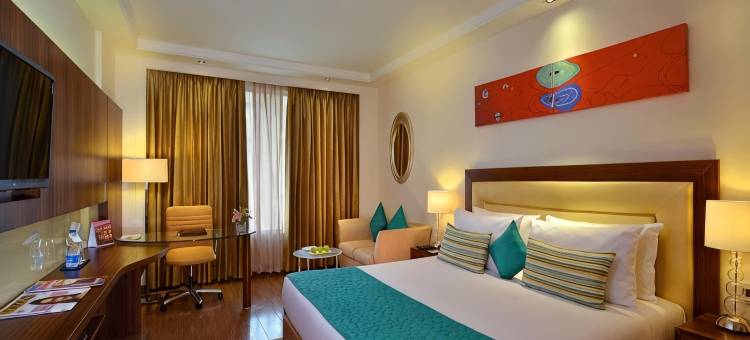 勒克瑙郁锦香酒店(Golden Tulip Lucknow)图片
