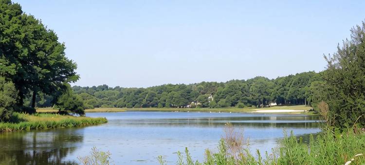 Domaine du Moulin Neuf 法国壮美山河酒店(Terres de France - le Domaine du Moulin Neuf)图片