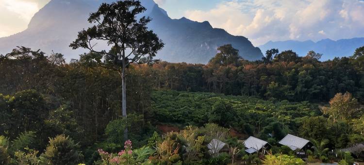 Vieng Pun Dao Resort图片