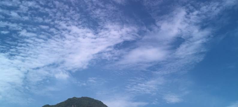 英德大围茶园民宿图片