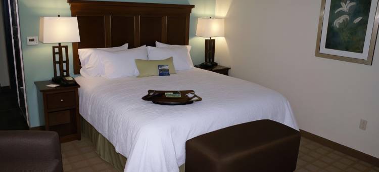 中心希尔顿欢朋旅馆&套房酒店(Hampton Inn & Suites Center)图片