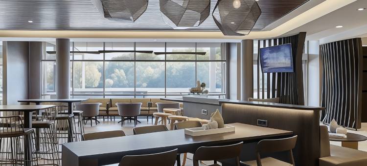 夏洛特卡罗温兹万豪SpringHill Suites酒店(SpringHill Suites Charlotte at Carowinds)图片