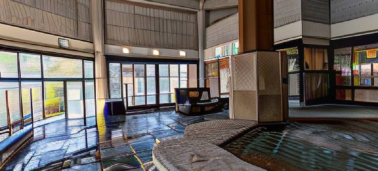 春野之汤旅馆(Tennenonsen Harunonoyu)图片