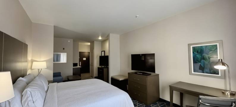 IHG加纳酒店朗维尤南(Garner Hotel Longview South by IHG)图片