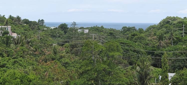 罗杰之家旅馆(Roger's Place Guesthouse)图片