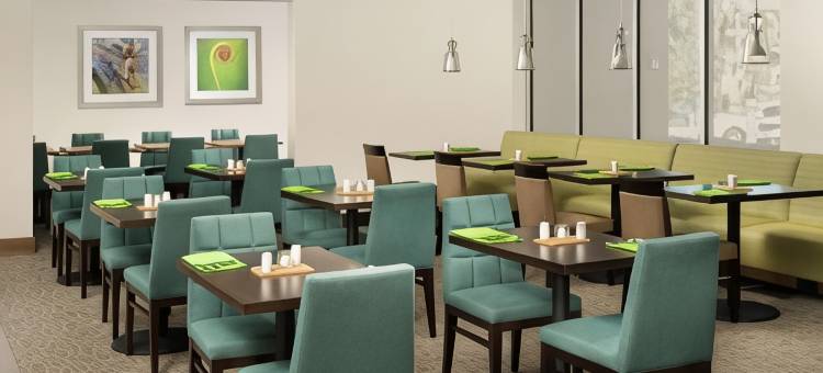 圣安东尼奥机场南希尔顿花园酒店(Hilton Garden Inn San Antonio Airport South, TX)图片