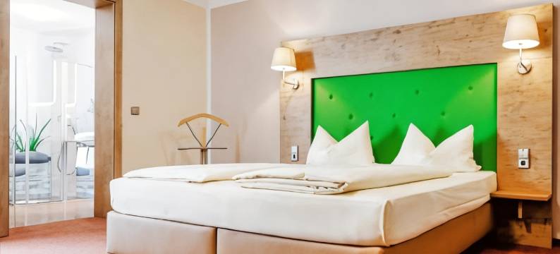 金茨堡城市酒店(Günzburg City)图片