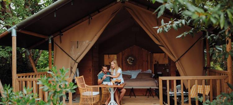 列奥纳城堡(Château Léognan, Domaine Viticole - Proche Bordeaux)图片