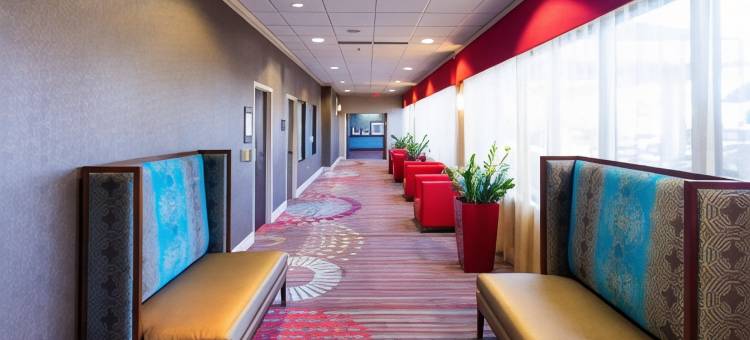 代托纳赛道机场欢朋酒店(Hampton Inn Daytona Beach-Speedway/Airport)图片