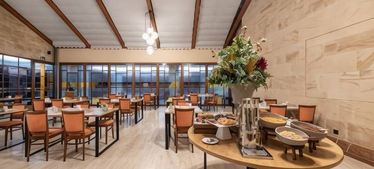 阿茨图尔广场酒店(Exe Astur Plaza)图片